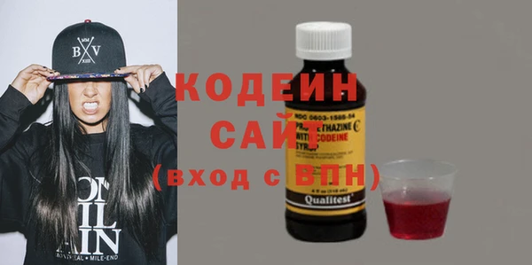 хмурый Белокуриха
