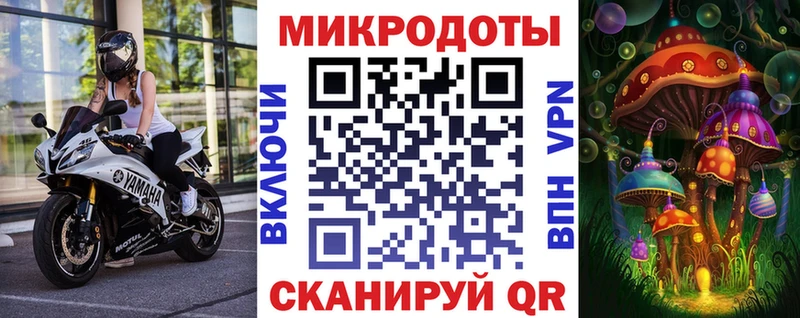 Купить  Анапа  Псилоцибиновые грибы MAGIC MUSHROOMS 